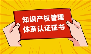 知识产权管理体系认证证书包含哪些内容？
