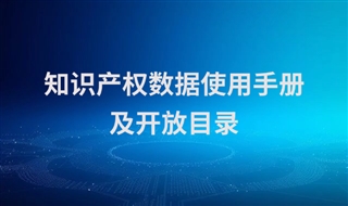 知识产权数据使用手册及开放目录